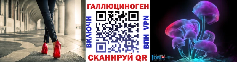 Псилоцибиновые грибы Cubensis  как найти закладки  Соль-Илецк 